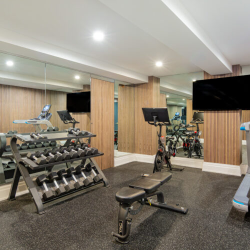 Gym With Weights, Peloton, Treadmill & TV – Lower Level